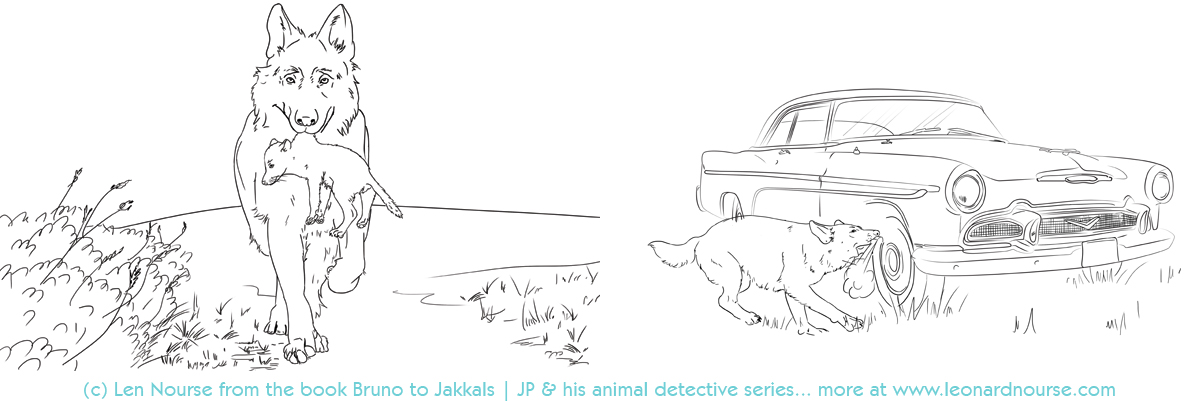  JP & his Animal Detectives The African Series 