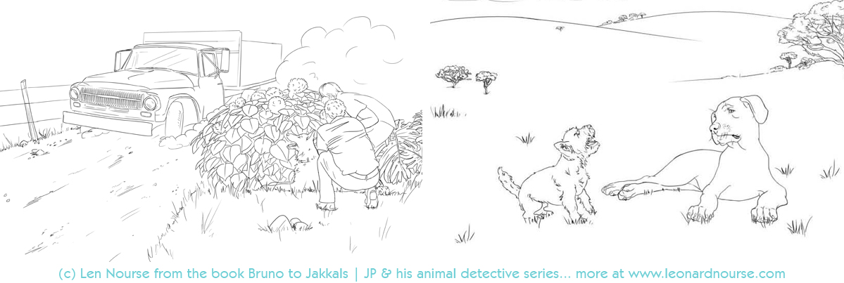 Bruno to Jakkals - JP & his Animal Detectives The African Series Book 1